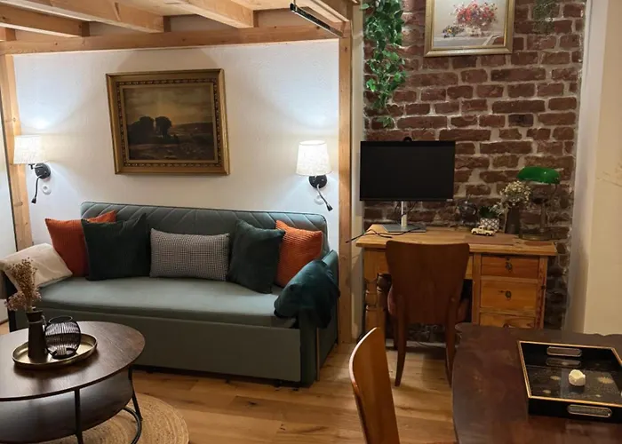 Urban Hideaway Cozy Loft, Courtyard And Ac Vienne