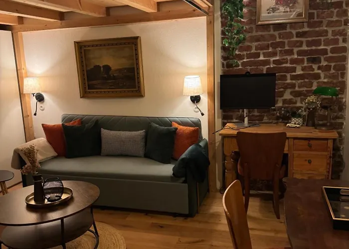 Urban Hideaway Cozy Loft, Courtyard And Ac Appartement Vienne